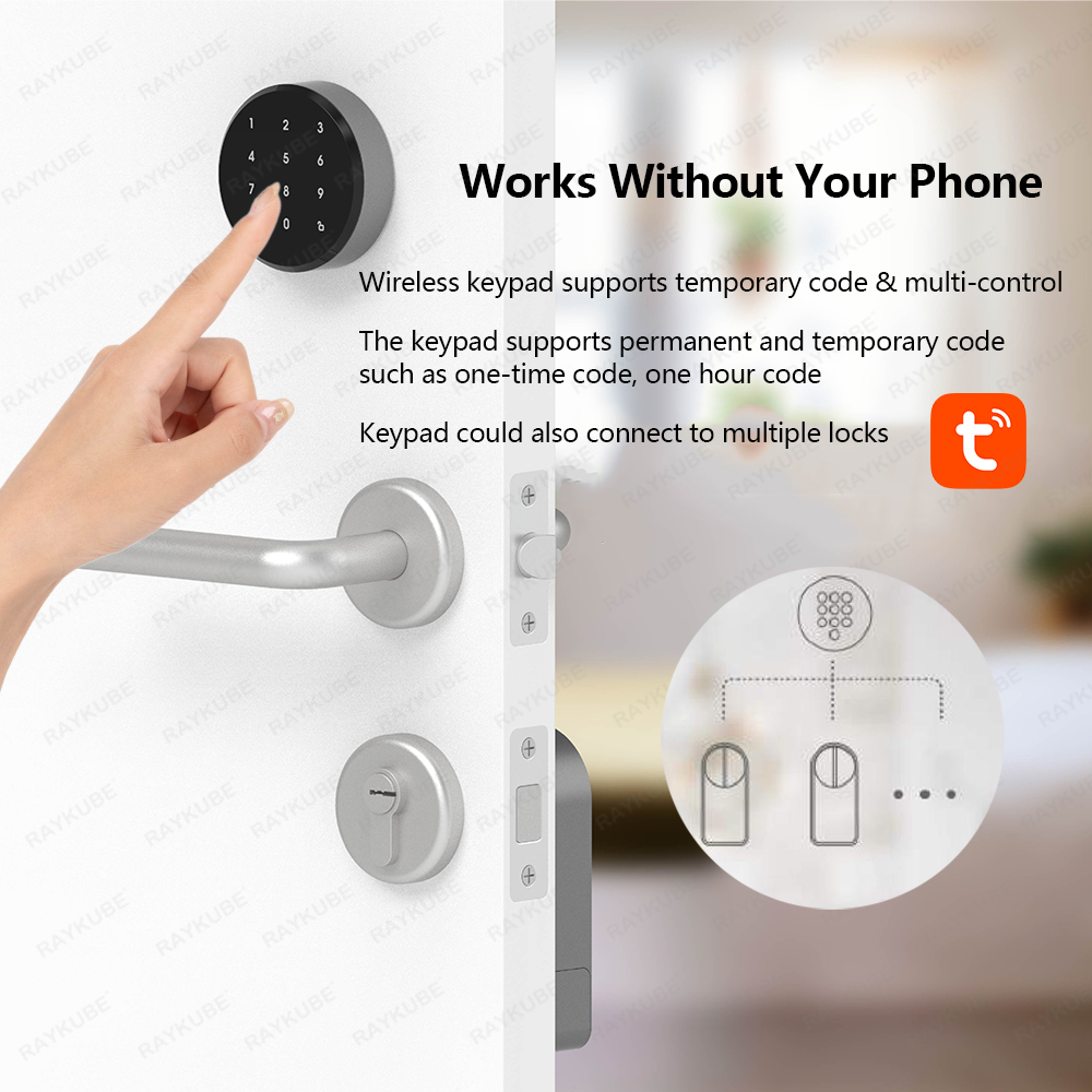RAYKUBE A1 Pro Tuya BEL Smart  – Woodworking App Bewertung und Preis